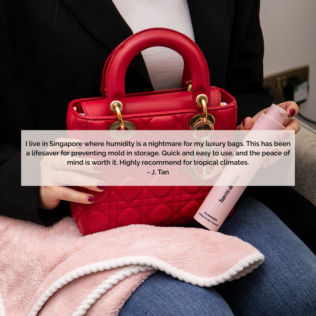 Fabric & Leather Antibacterial Cleanser